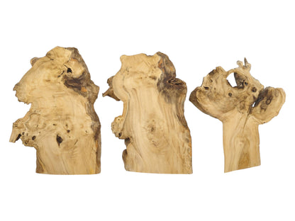 Three light-colored elderberry wood slices with natural live edges and visible grain patterns.