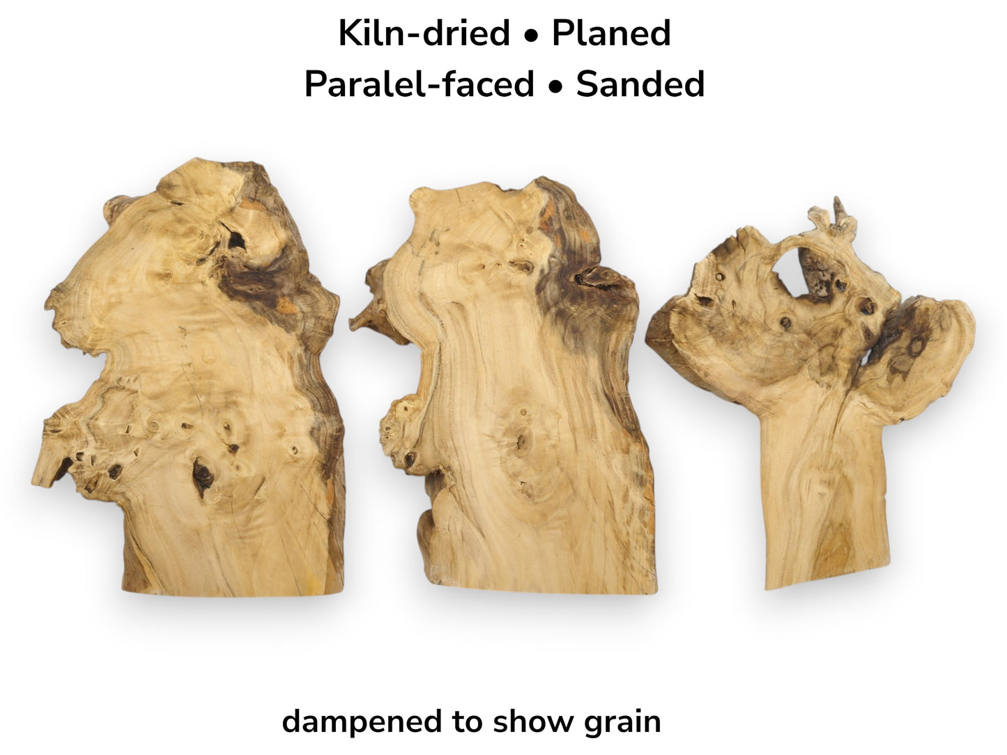 Three kiln-dried, planed, parallel-faced, and sanded elderberry wood slices, dampened to show grain.