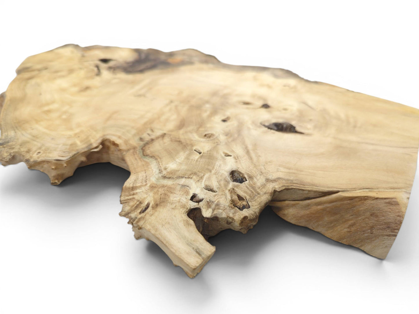 A light-colored, irregularly shaped elderberry wood slice with natural edges and visible grain.