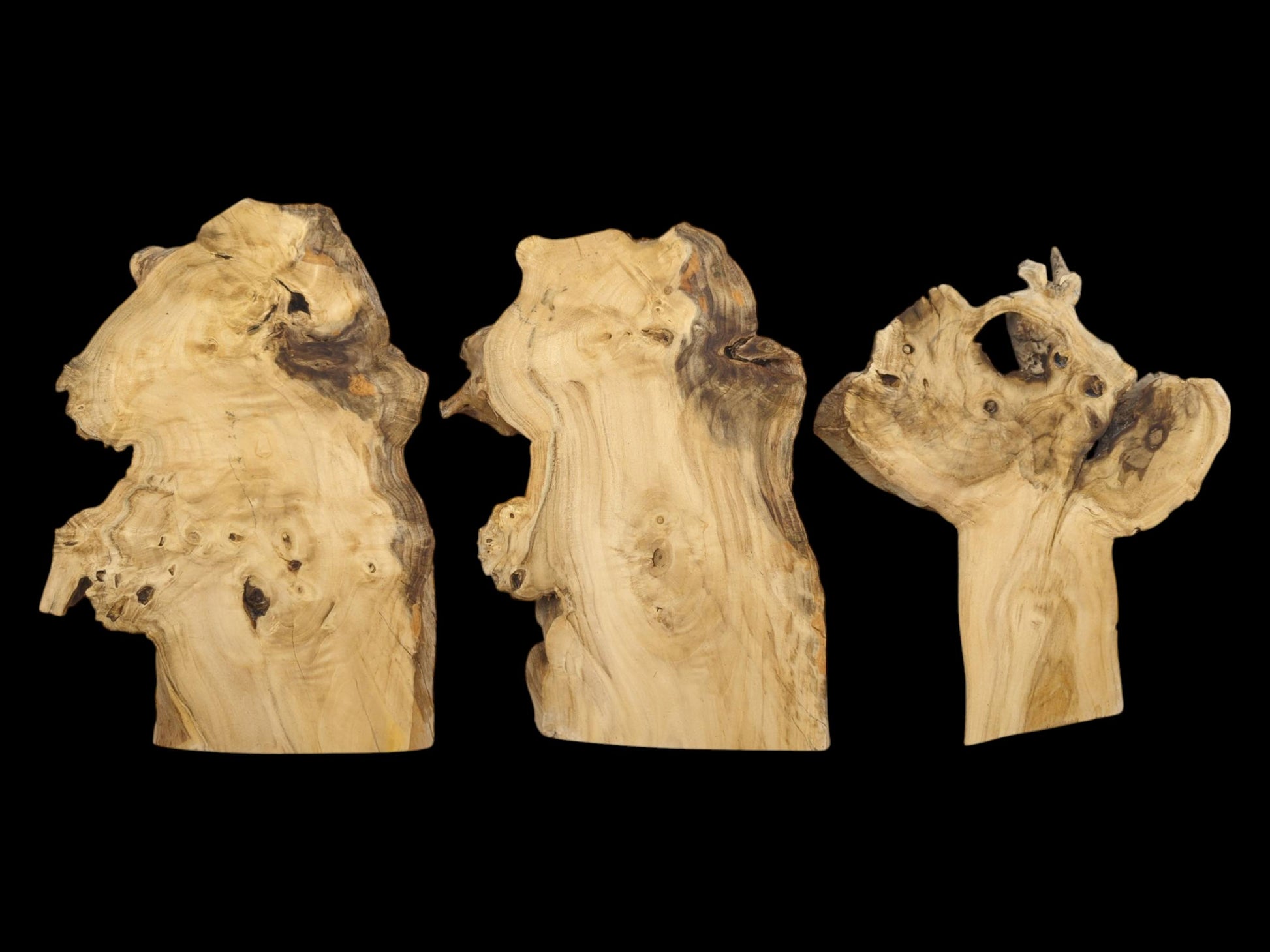 Three light-colored, irregularly shaped elderberry wood slices with dark knots and natural edges.