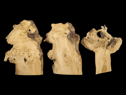 Three light-colored, irregularly shaped elderberry wood slices with dark knots and natural edges.