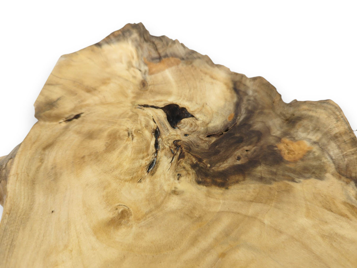 Close-up of an irregularly shaped elderberry wood slice with a dark knot and visible grain.