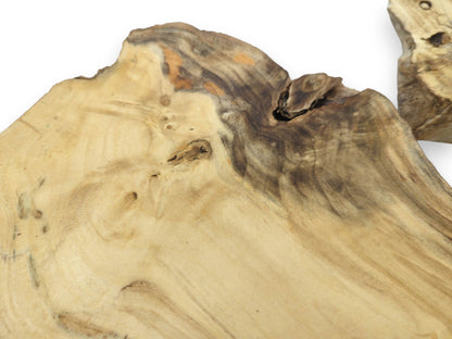 Close-up of a light-colored elderberry wood slice with natural edges, dark knots, and visible grain.