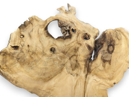 An irregularly shaped elderberry wood slice with a large hole, dark knots, and visible grain.