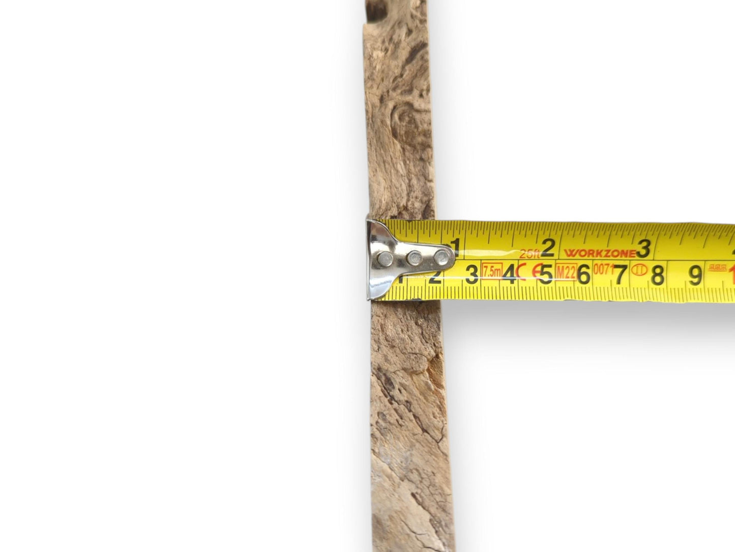 A light-colored elderberry wood slice with natural edges, measured by a tape.