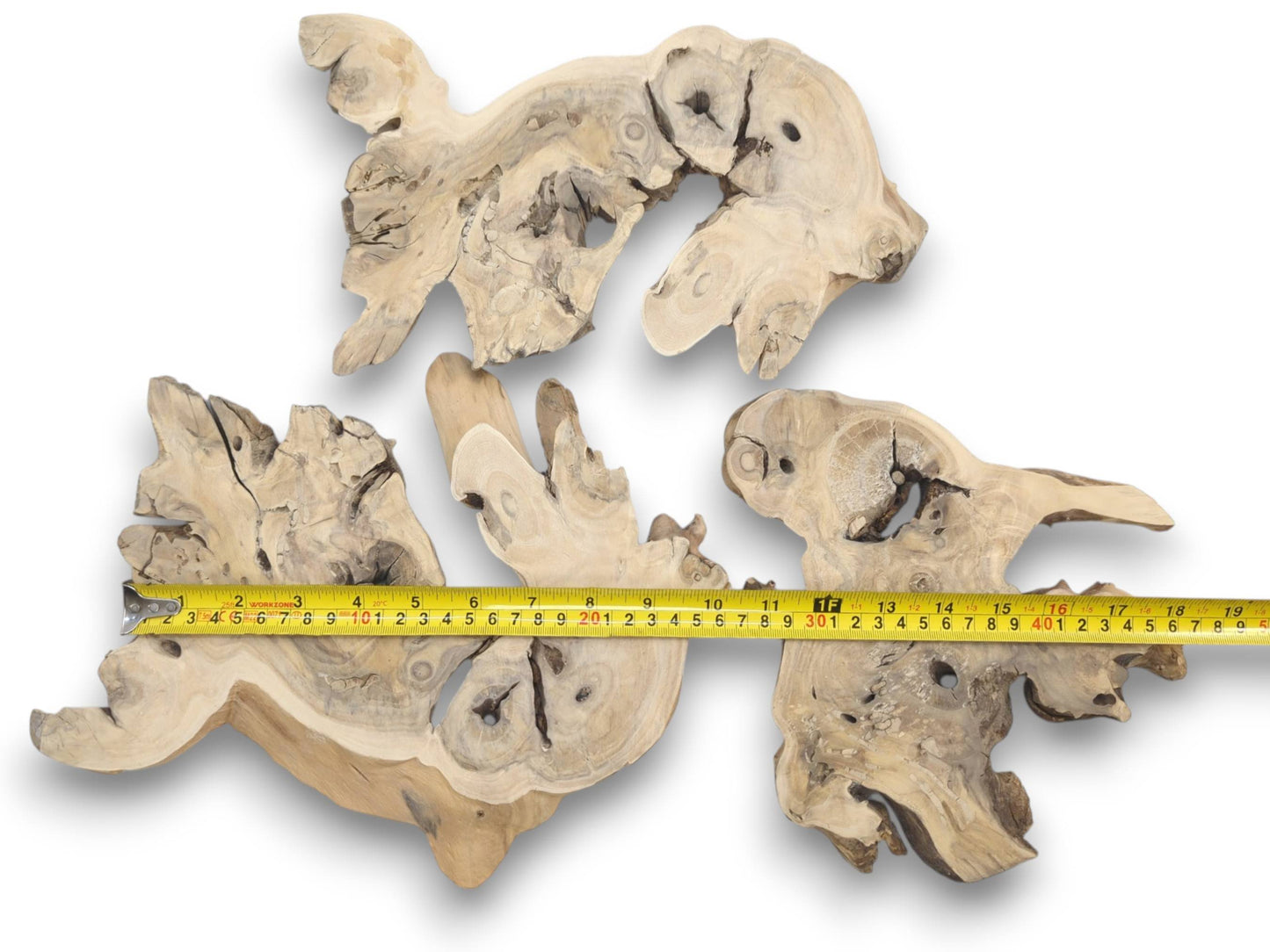 Three light-colored, irregularly shaped elderberry root wood pieces with natural holes and cracks.