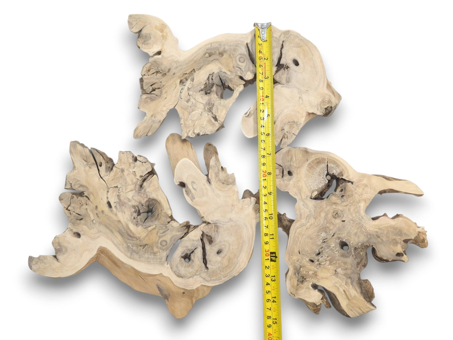 Three light-colored, irregularly shaped elderberry root wood pieces with natural holes and cracks.