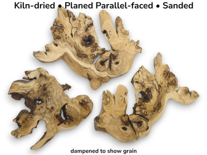 Three kiln-dried, planed, and sanded elderberry root wood pieces with natural organic shapes.