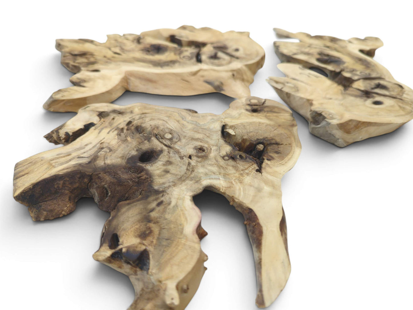 Three irregularly shaped elderberry root wood pieces with natural holes and dark grain on a white surface.