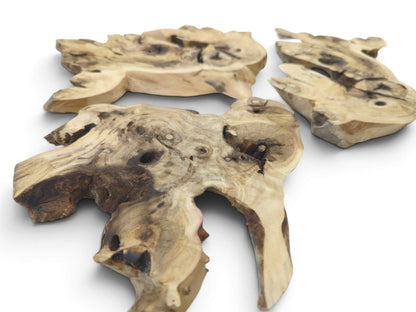 Three irregularly shaped elderberry root wood pieces with natural holes and dark grain on a white surface.