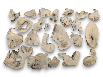 A collection of light-colored, irregularly shaped elderberry wood pieces with natural edges and holes.