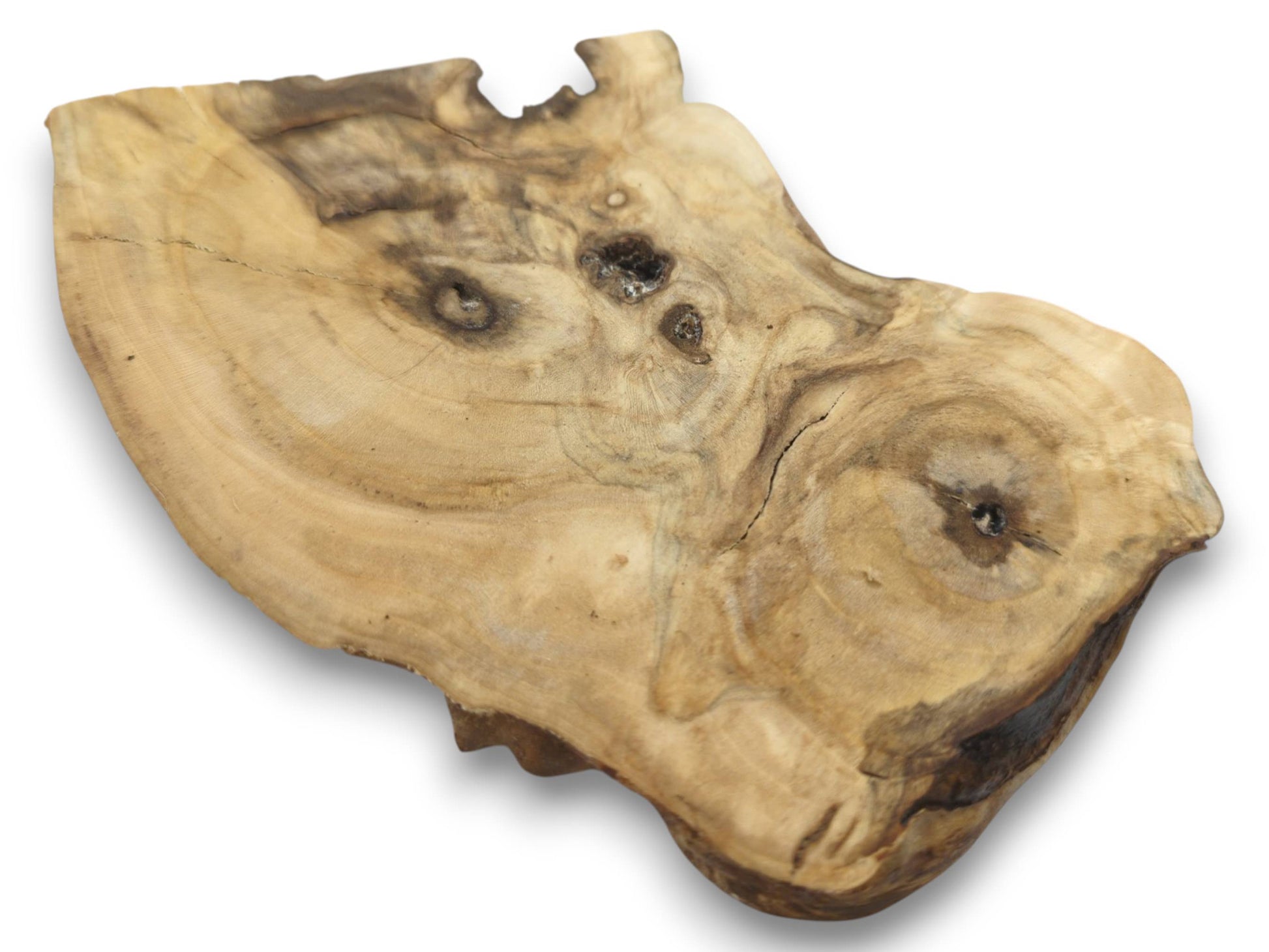 An irregularly shaped elderberry wood slice with visible growth rings, cracks, and dark knots.