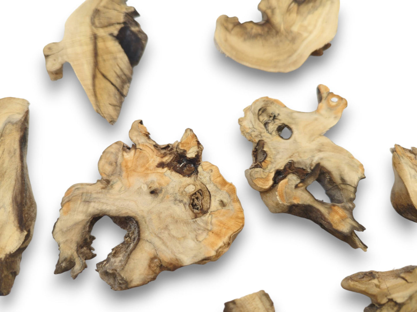 Several irregularly shaped elderberry wood pieces with natural edges, visible grain, and dark knots on white.