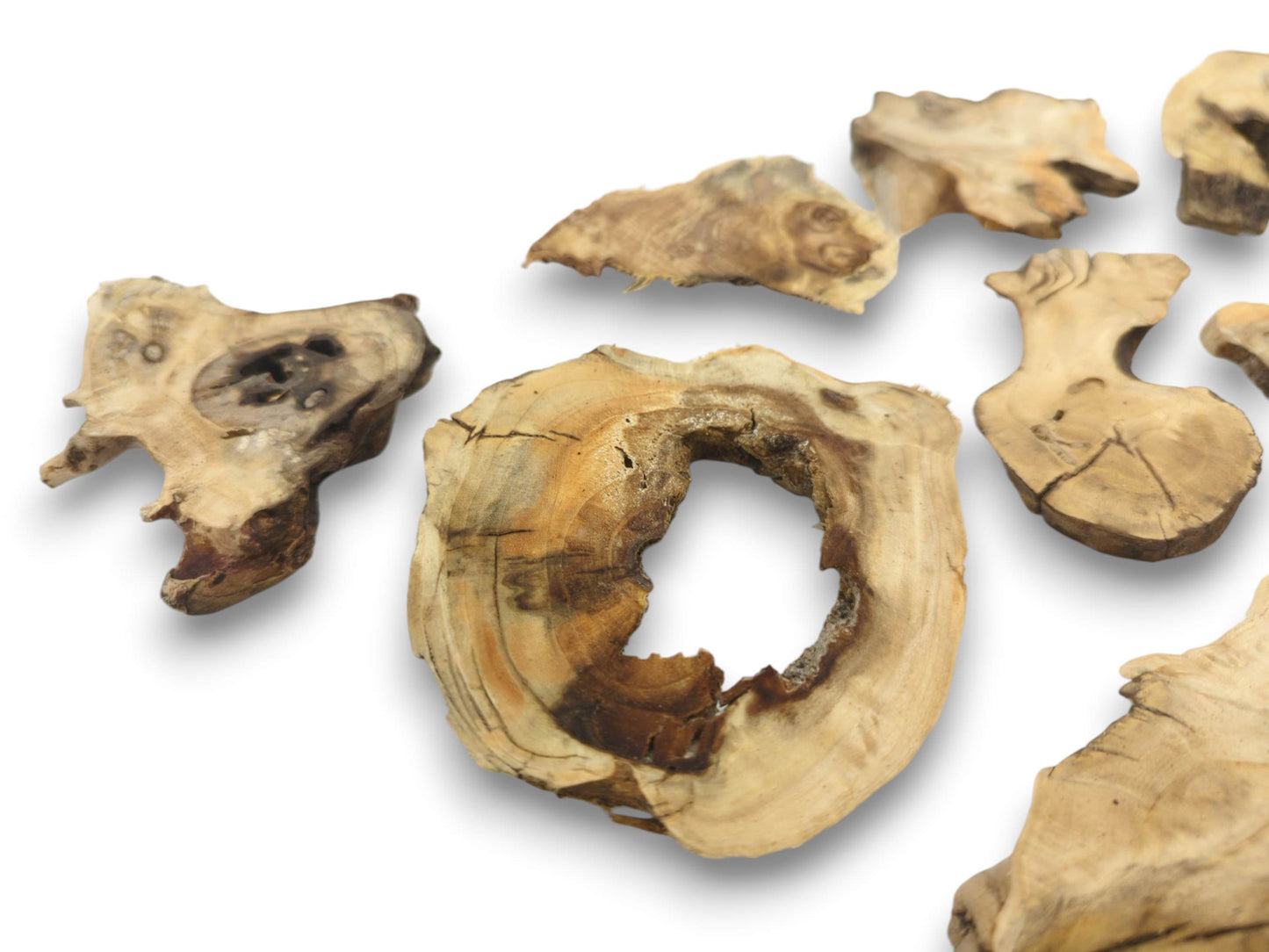 Multiple irregularly shaped elderberry wood pieces with natural edges, visible grain, and dark knots on white.