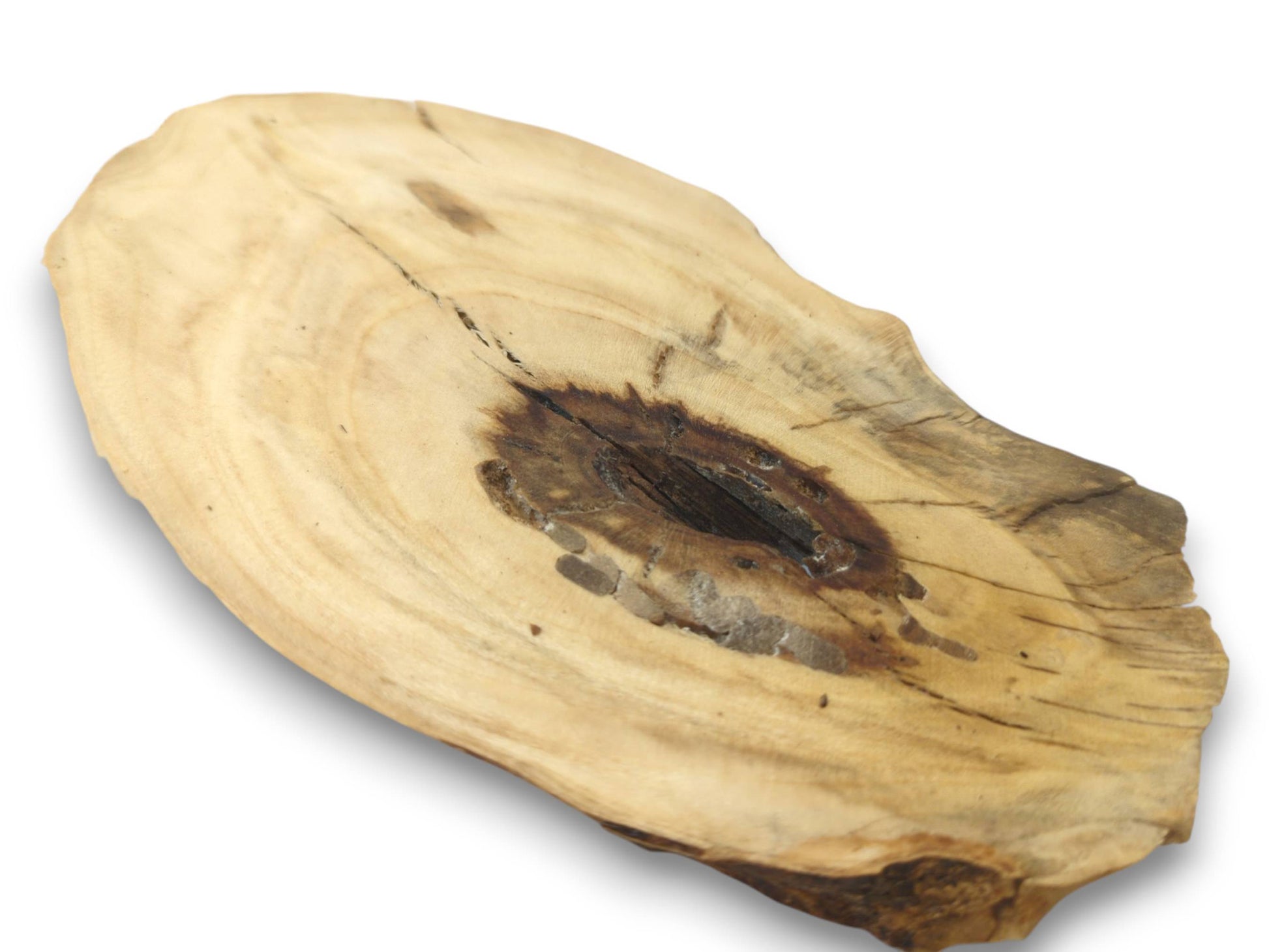 A single, light-colored elderberry wood slice with a dark, irregular hole and cracks.