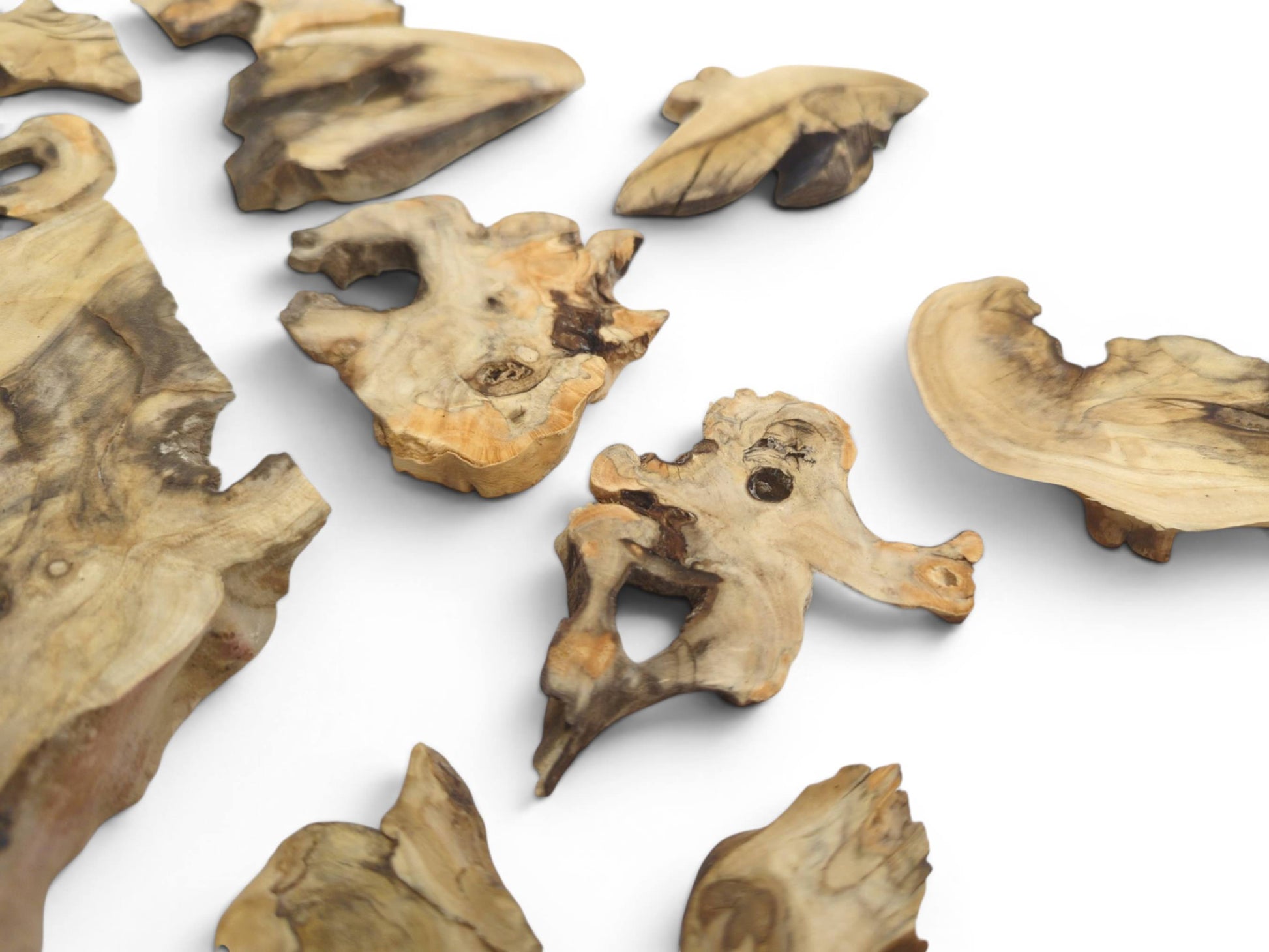 Assorted elderberry wood pieces with natural edges, visible grain, and dark knots on a white surface.