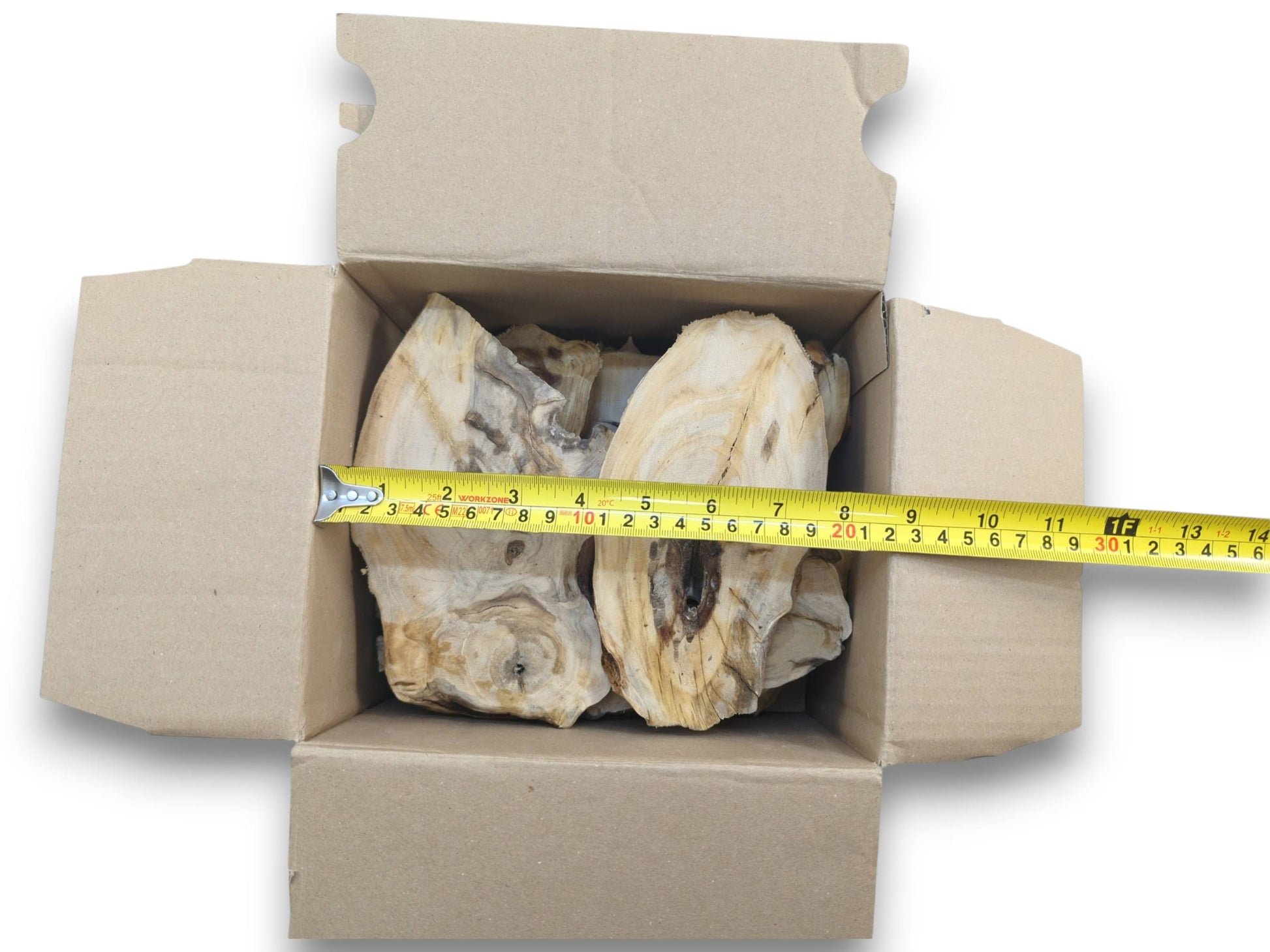 A tape measure shows the length of two light-colored elderberry wood pieces in a box.