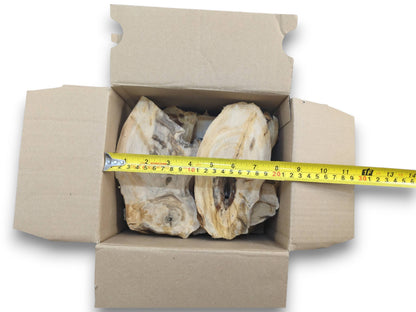 A tape measure shows the length of two light-colored elderberry wood pieces in a box.