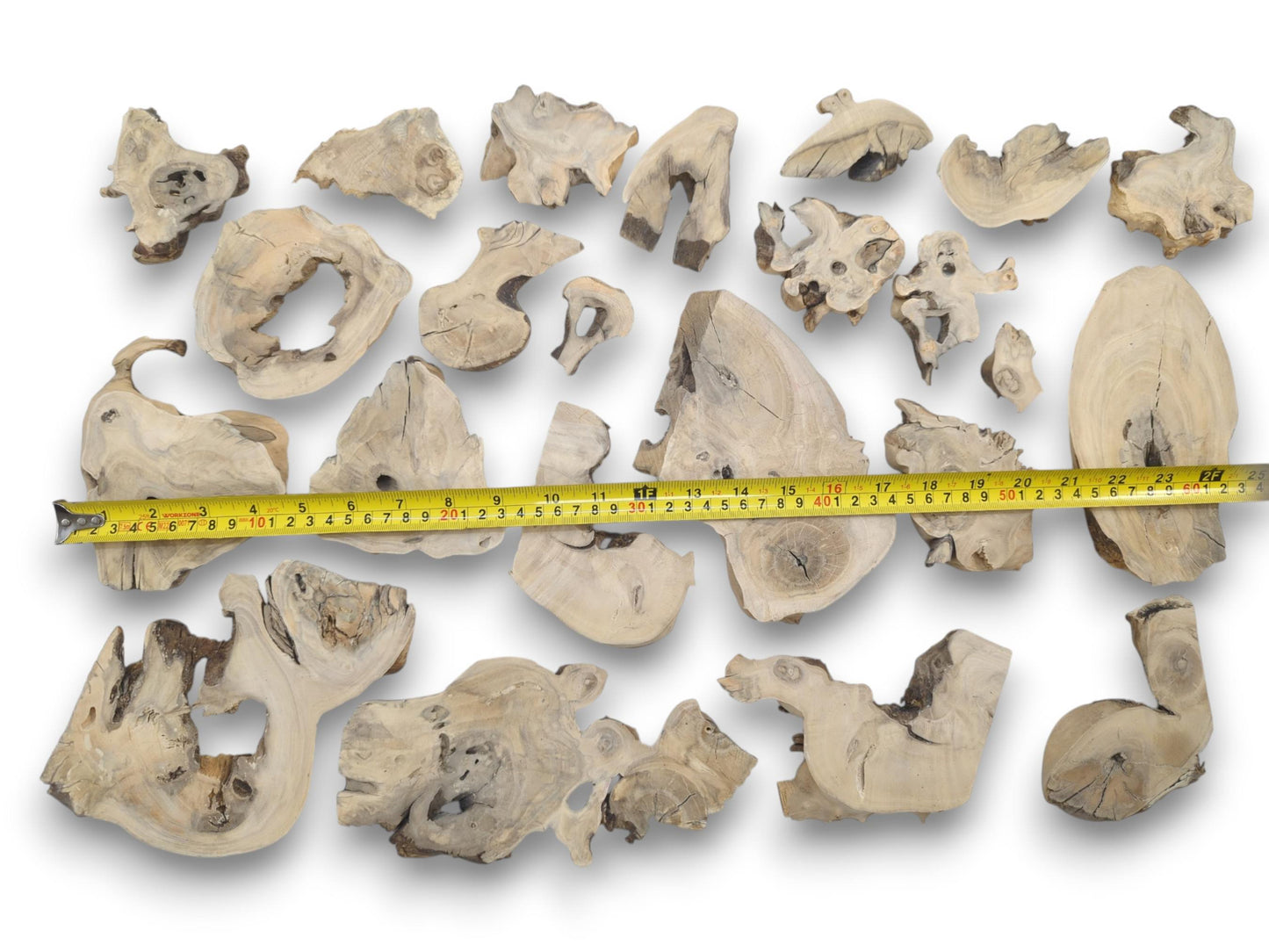 A collection of light-colored elderberry wood pieces with natural edges and visible grain.