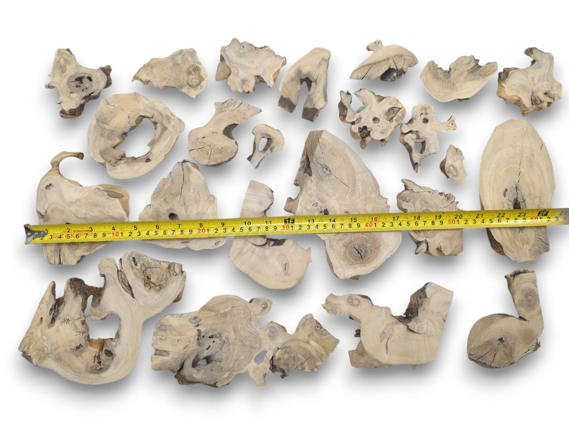 A collection of light-colored elderberry wood pieces with natural edges and visible grain.