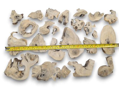 A collection of light-colored elderberry wood pieces with natural edges and visible grain.