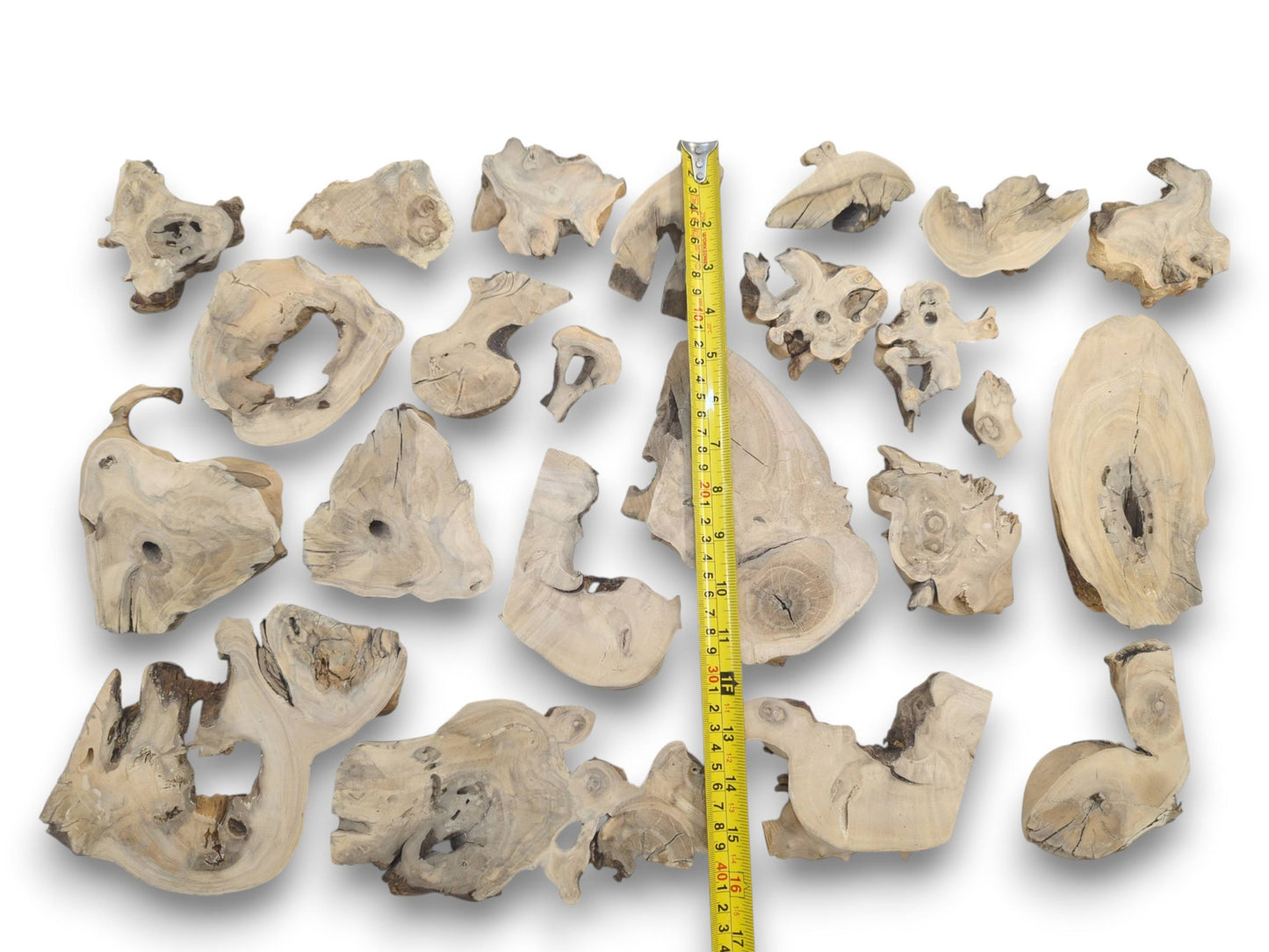 An overhead view of many light-colored elderberry wood pieces with natural edges and knots.