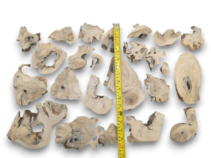 An overhead view of many light-colored elderberry wood pieces with natural edges and knots.