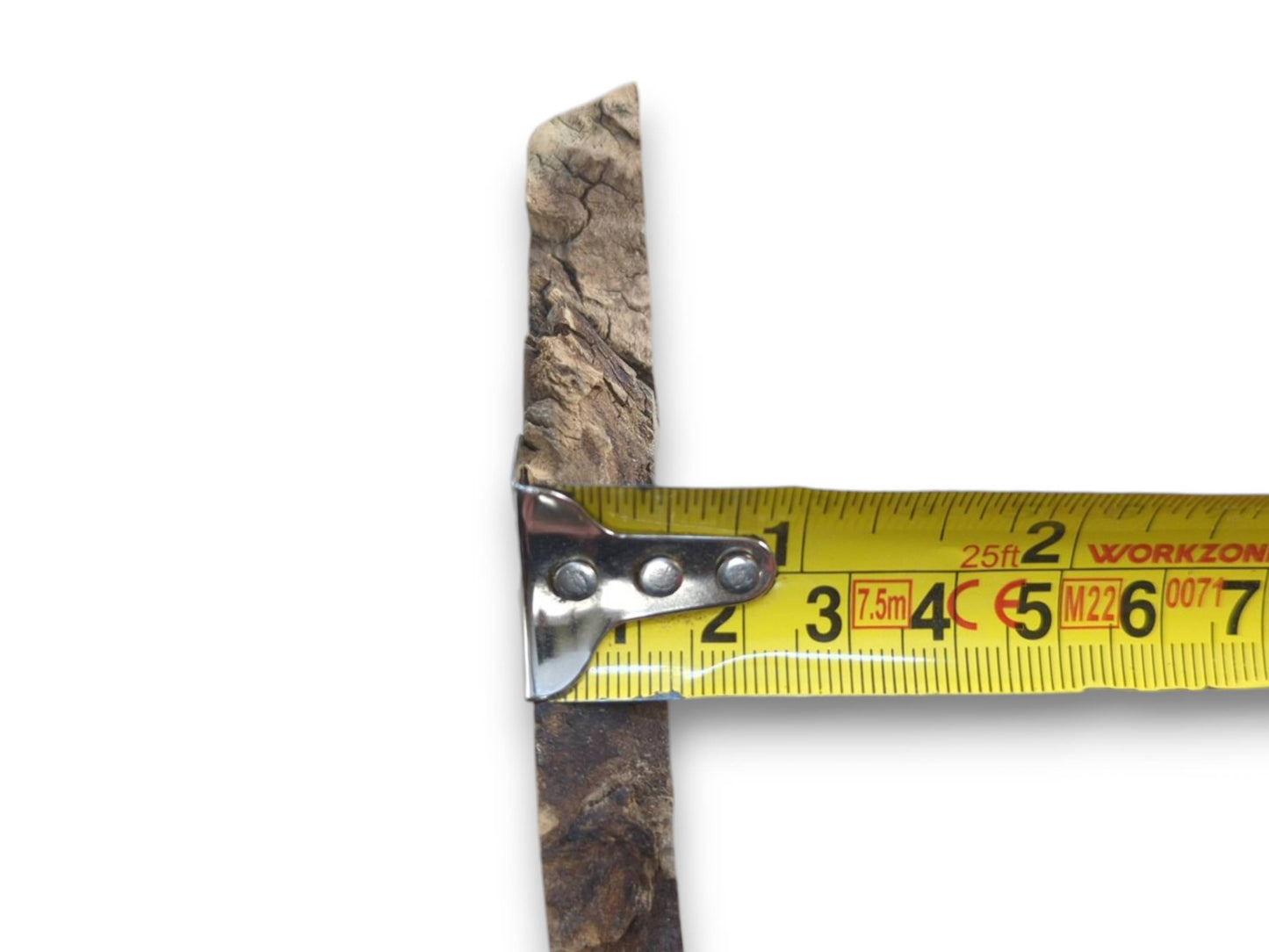 A narrow, light brown elderberry wood piece with natural bark edges measured by a tape.