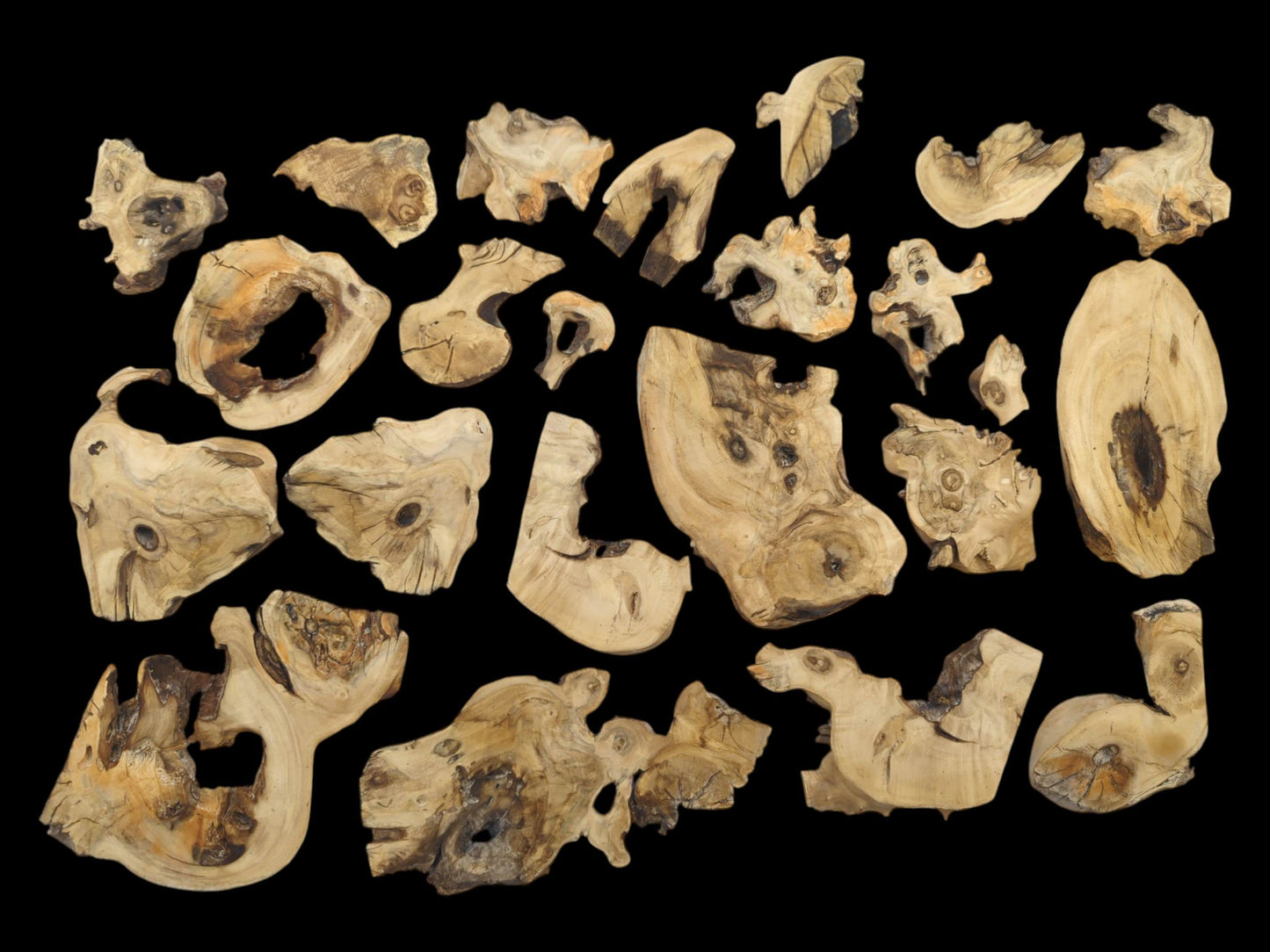 A top-down view of many light-colored elderberry wood pieces with natural edges and knots.