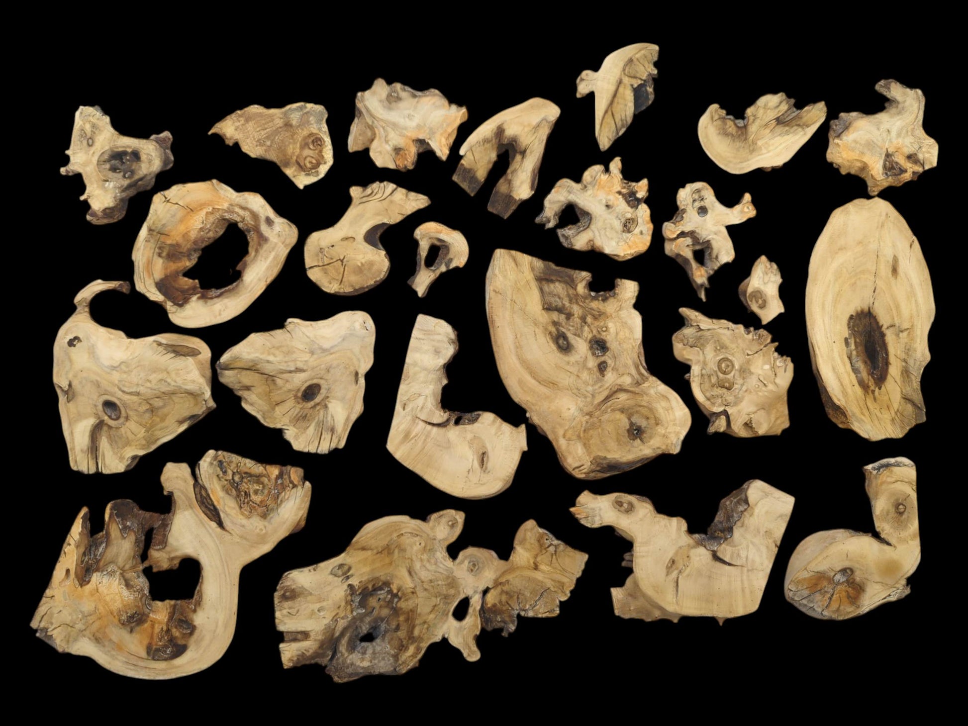 A top-down view of many light-colored elderberry wood pieces with natural edges and knots.