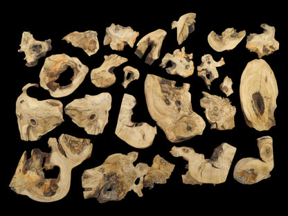 A top-down view of many light-colored elderberry wood pieces with natural edges and knots.