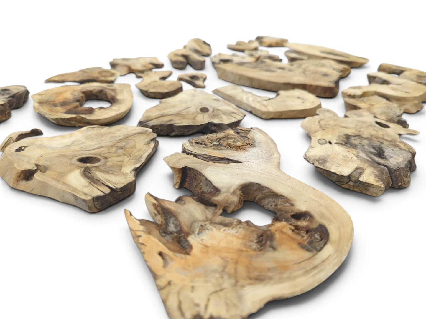Many light-colored elderberry wood pieces with natural edges, visible knots, and unique shapes.