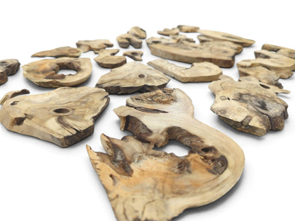 Many light-colored elderberry wood pieces with natural edges, visible knots, and unique shapes.