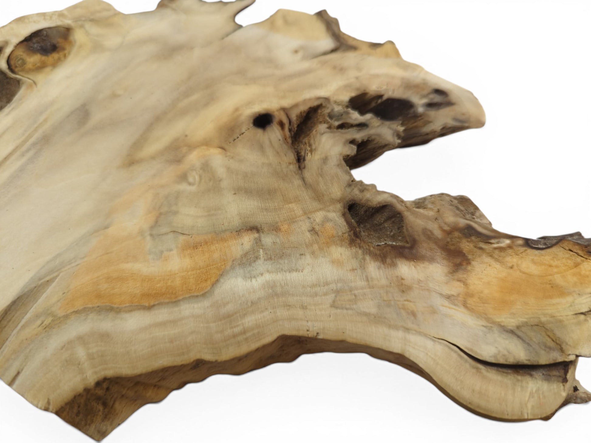Close-up of a light-colored elderberry wood slice with natural edges, knots, and cracks.