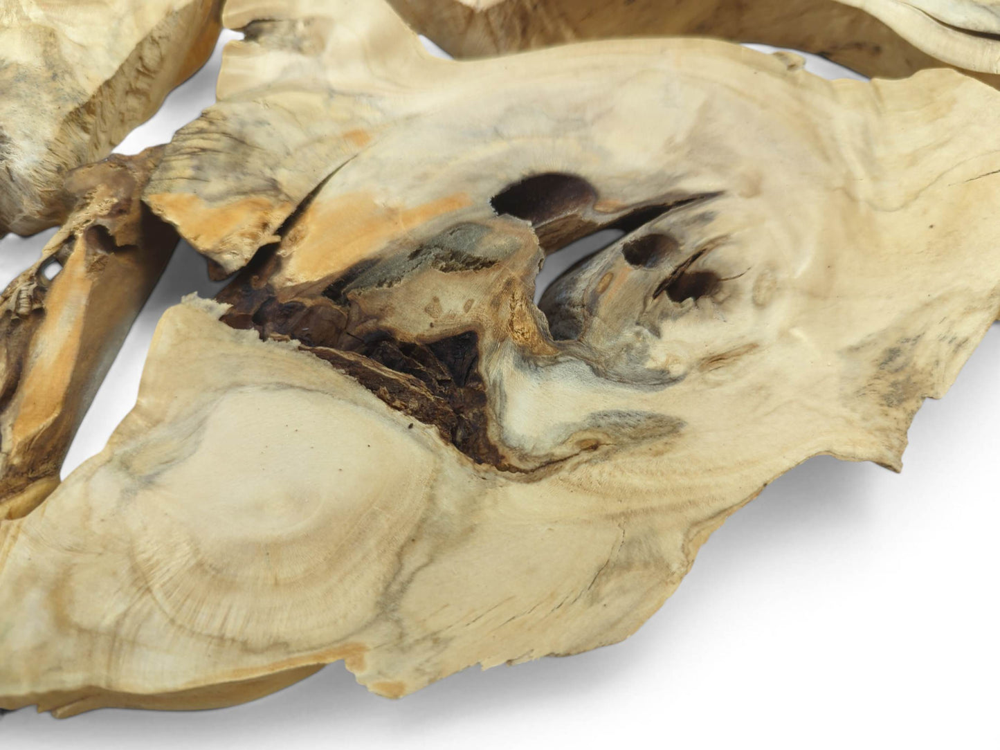 Close-up of a light-colored elderberry wood slice with natural edges, knots, and cracks.