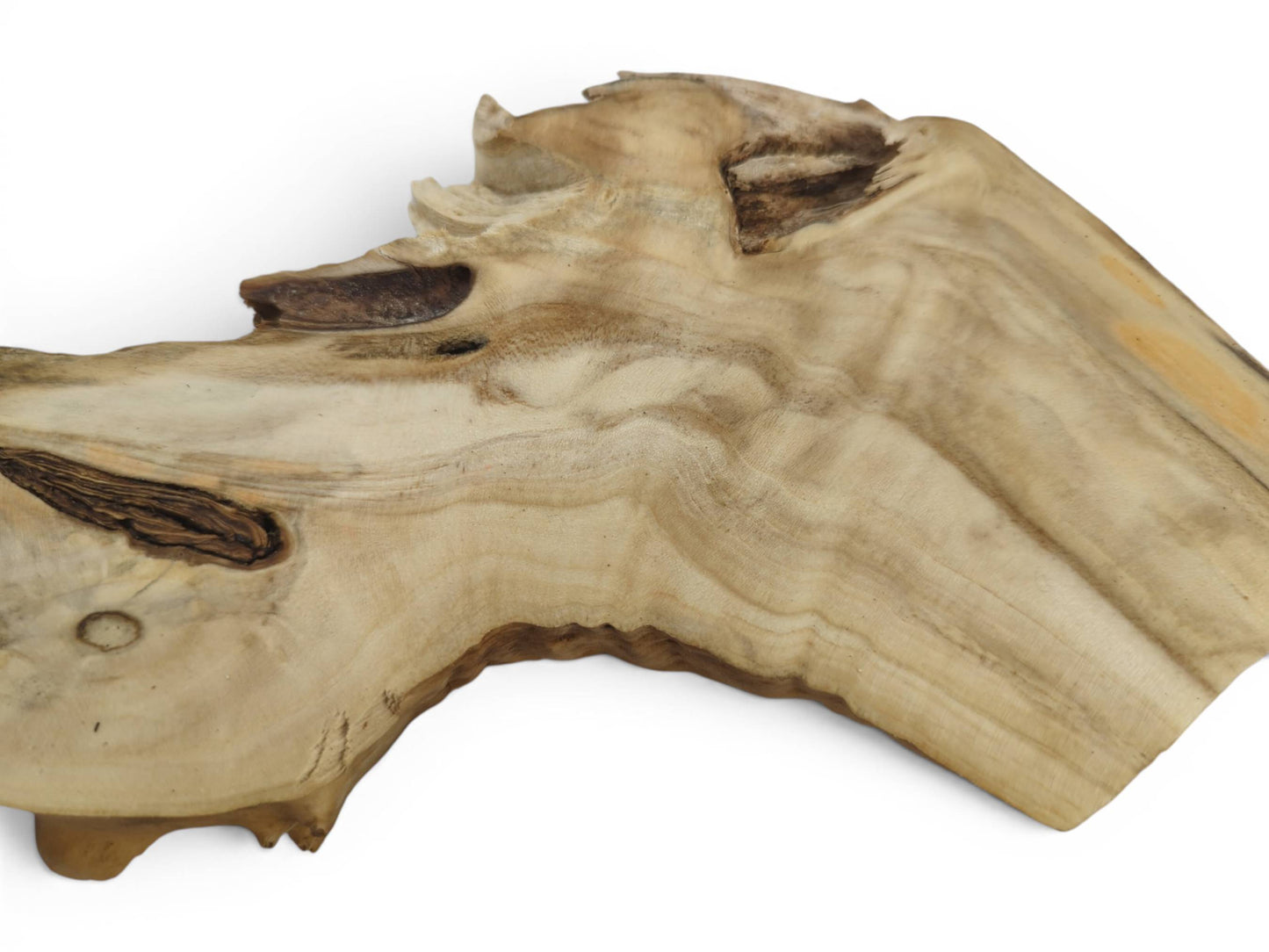 Close-up of a light-colored elderberry wood slice with natural edges and visible grain.