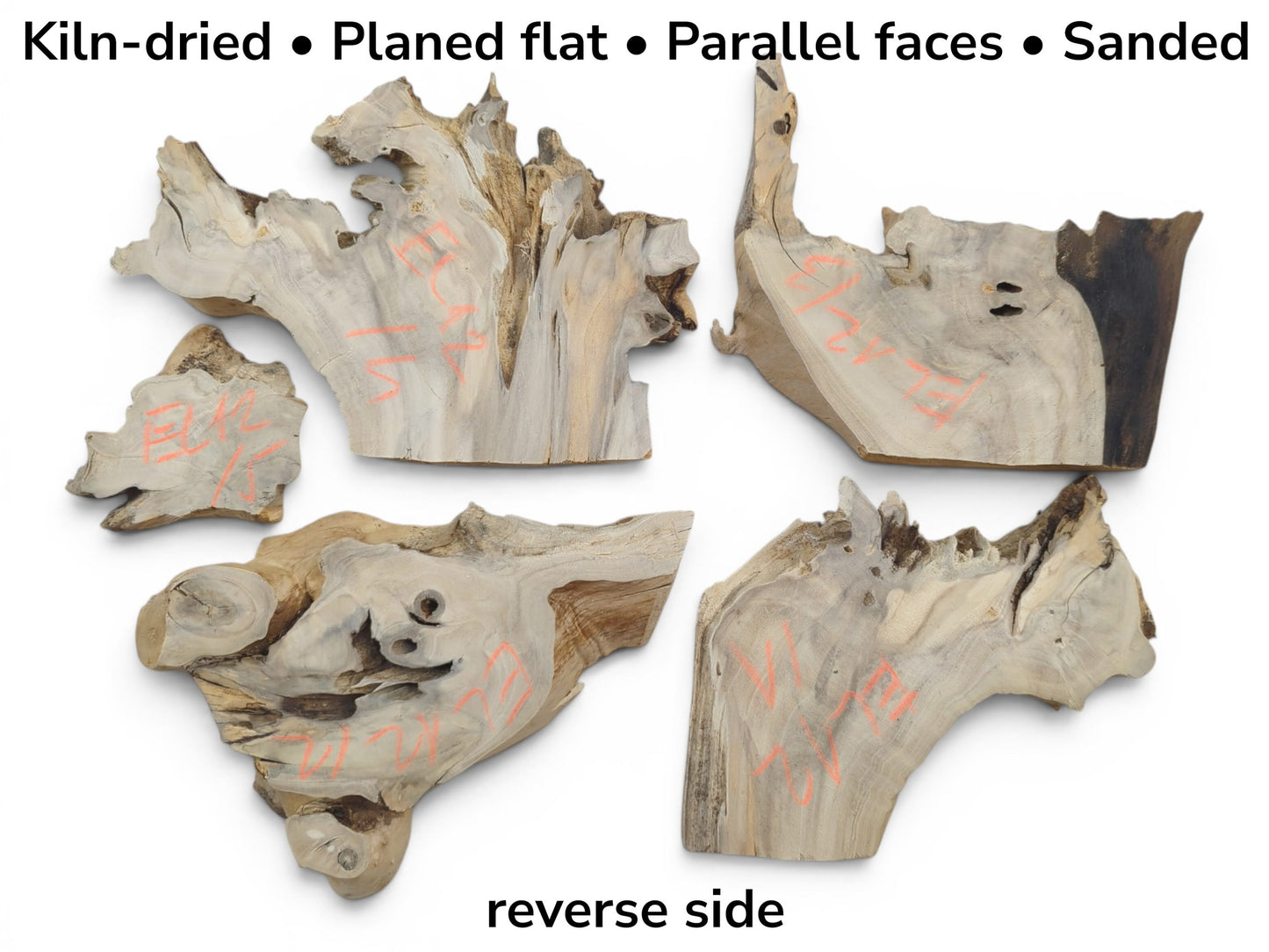 Four irregularly shaped, light-colored elderberry wood pieces with natural edges and visible grain.