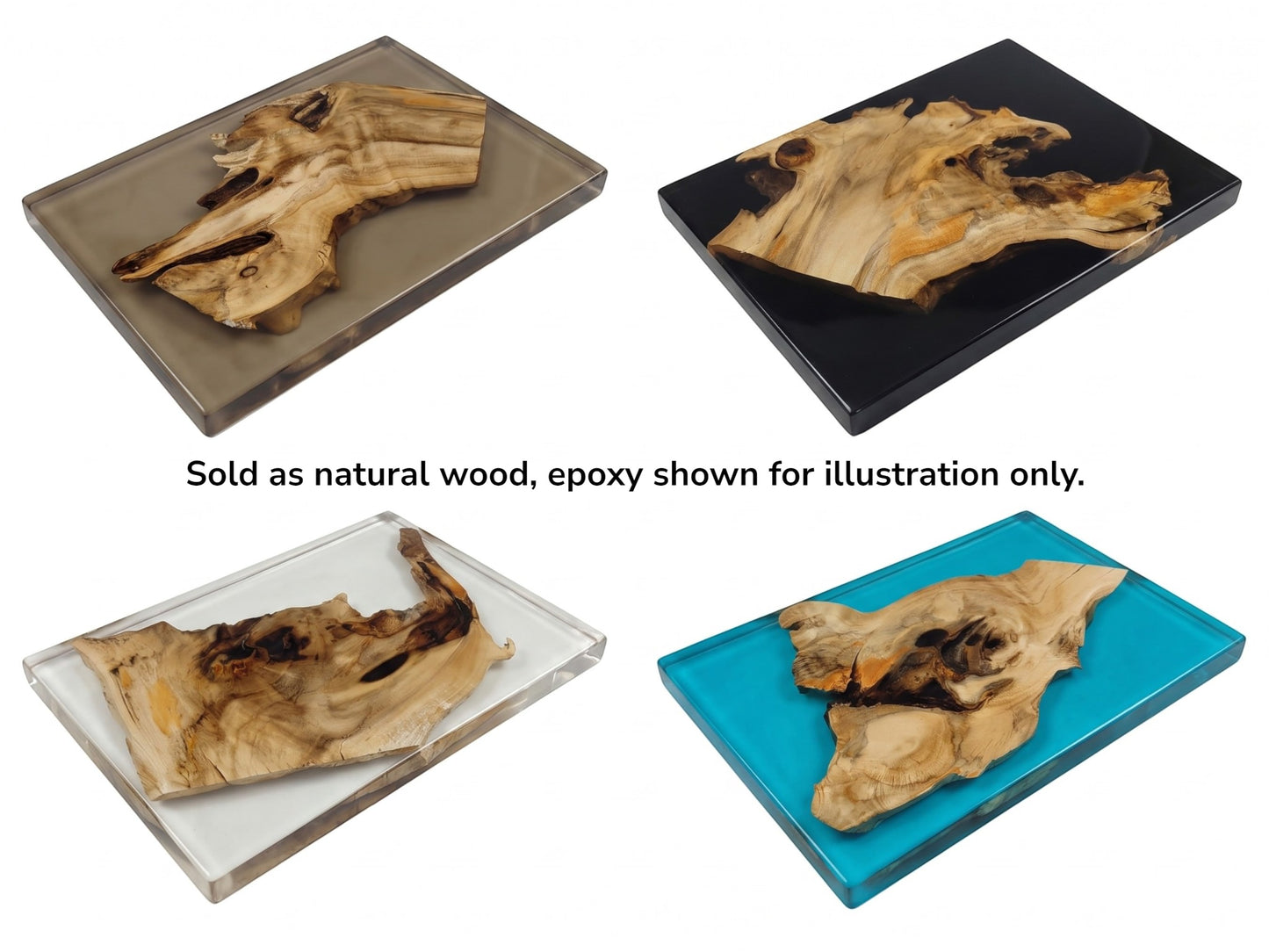 Four elderberry wood pieces with natural edges, each embedded in different colored epoxy resin.