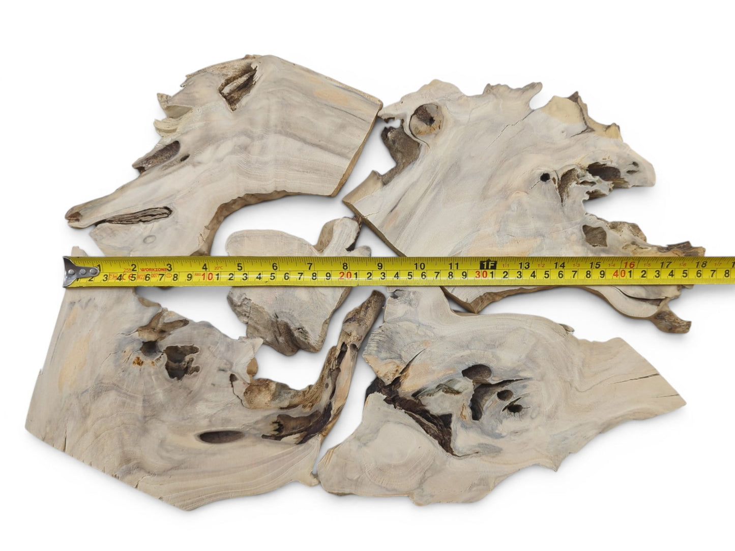 Four irregularly shaped, light-colored elderberry wood pieces with natural edges and visible grain.