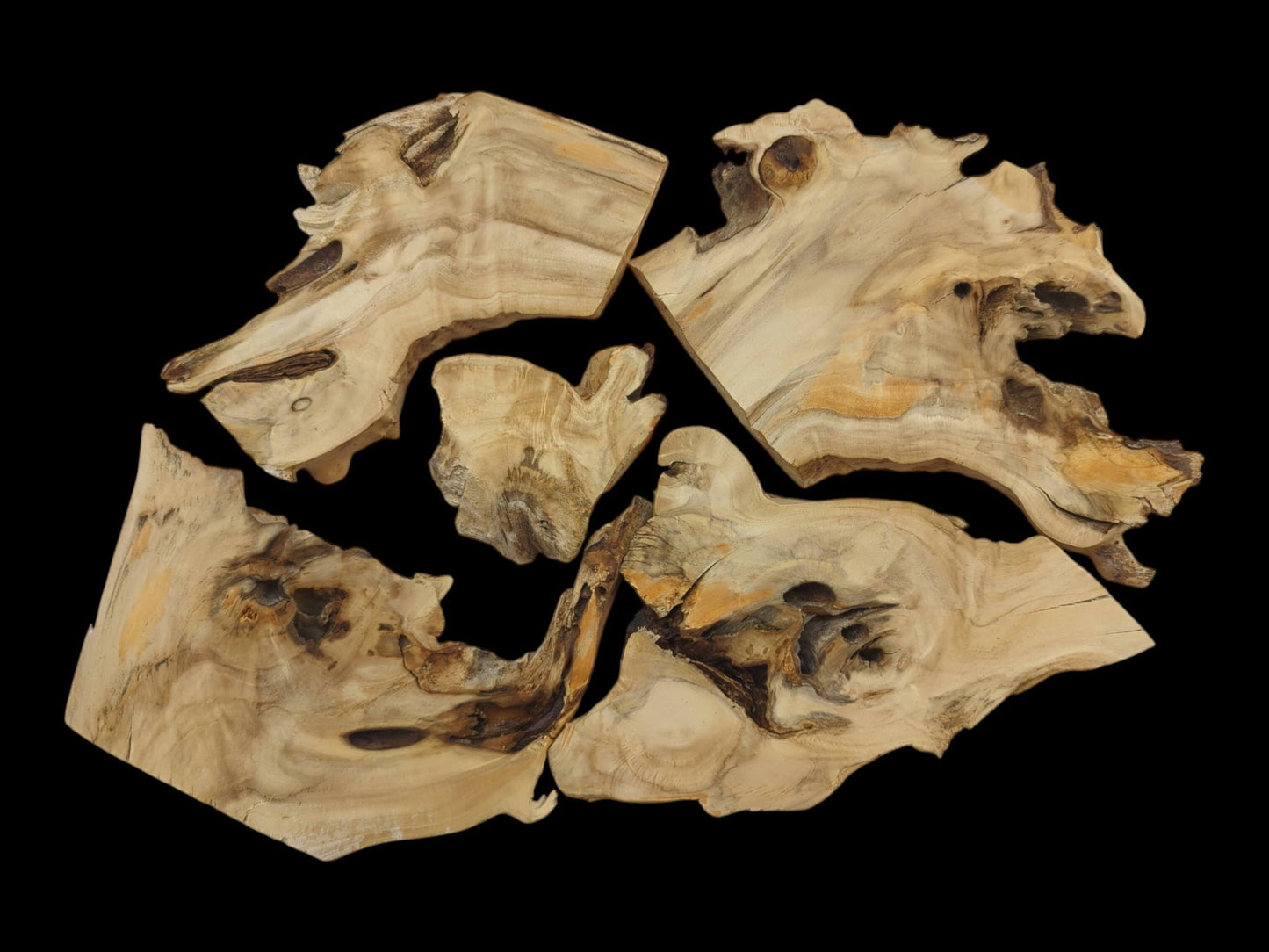 Five light-colored elderberry wood pieces with natural edges and visible grain on a black background.