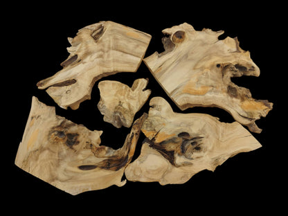 Five light-colored elderberry wood pieces with natural edges and visible grain on a black background.