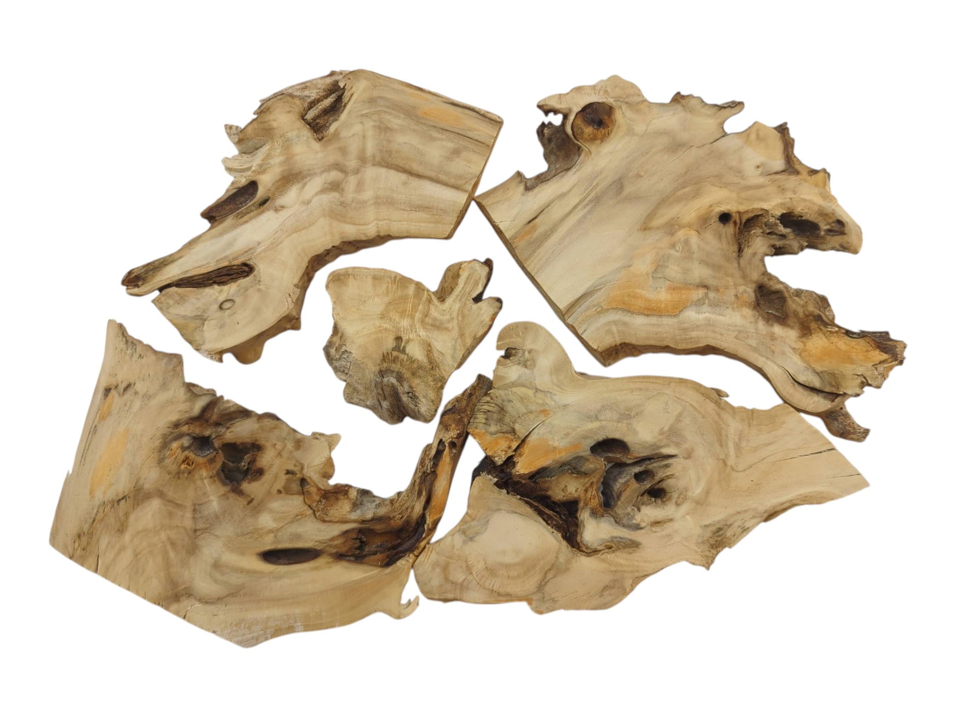 Five irregularly shaped elderberry wood pieces with natural edges and visible grain on a white background.