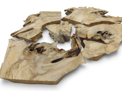 Six irregularly shaped, light-colored wood pieces with natural edges and visible grain on white.