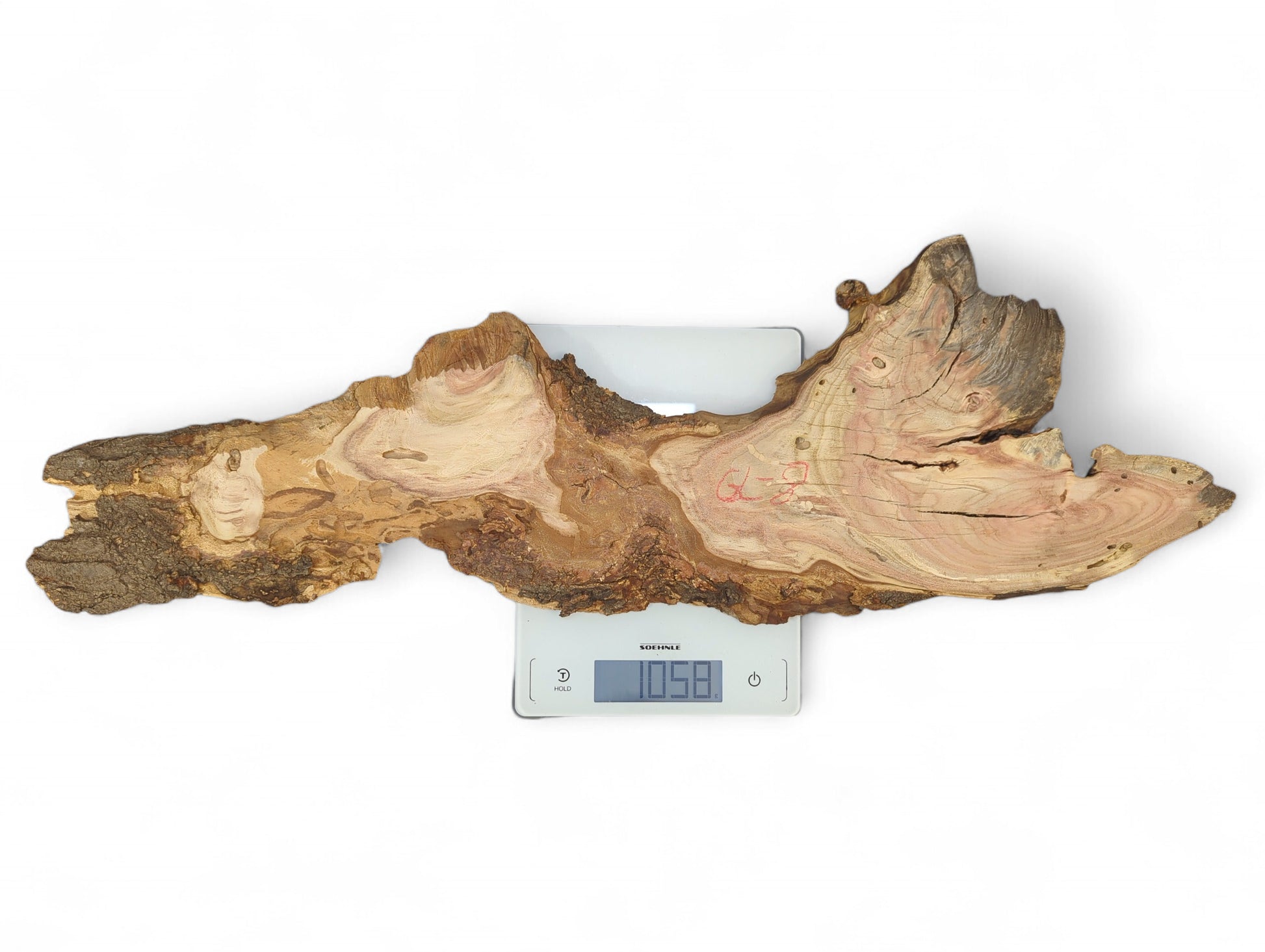 Weighing 1058, an irregular honey locust root slice with bark and pinkish grain is displayed.