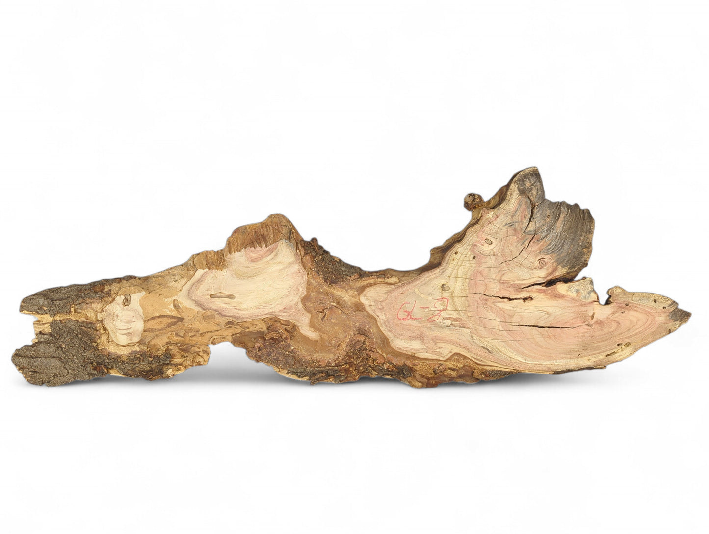 An irregular honey locust wood slice shows pale, reddish grain patterns and rough, dark brown bark edges.