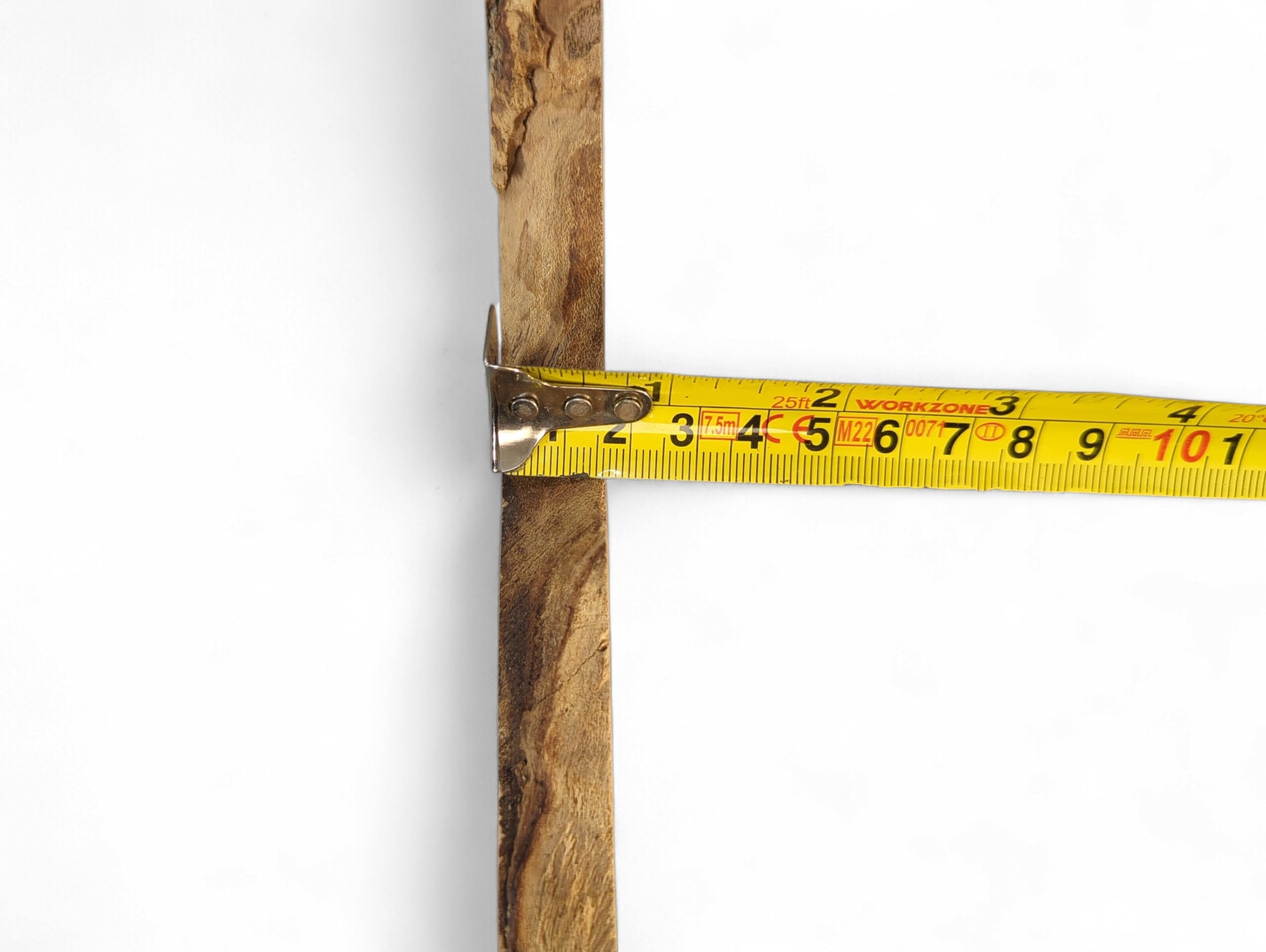 A long, slender honey locust root slice with natural bark edges is measured by a yellow tape.