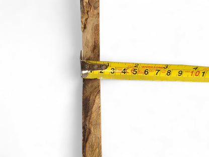 A long, slender honey locust root slice with natural bark edges is measured by a yellow tape.