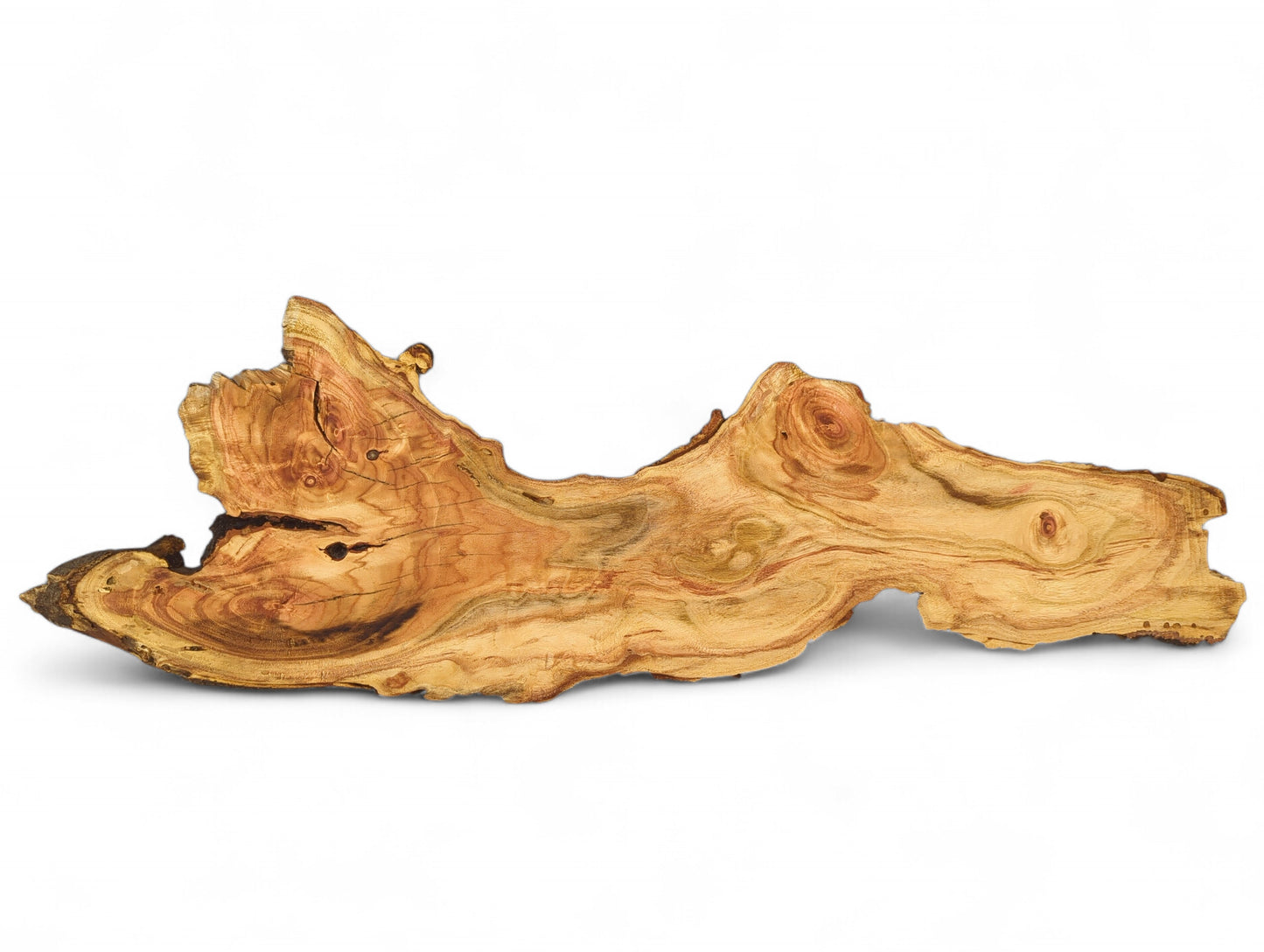 This elongated honey locust root slice displays a distinctive swirling light brown grain with darker natural bark edges.