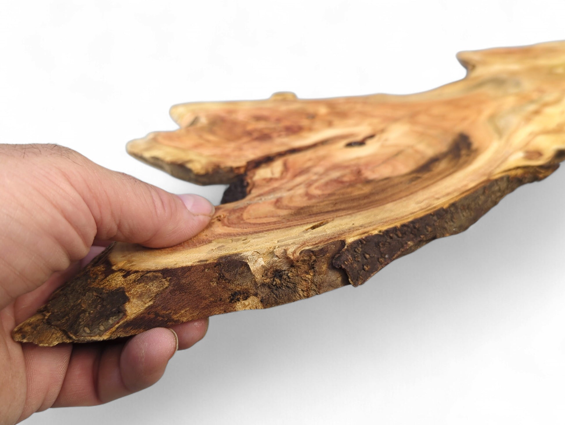 Hand holding a thin, irregular honey locust wood slice with natural edges and reddish-brown grain patterns.