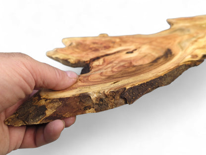 Hand holding a thin, irregular honey locust wood slice with natural edges and reddish-brown grain patterns.